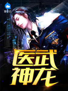 医武神龙龙飞王晓楠章节列表
