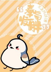 奉旨发胖章节列表