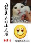在那遥远的小黑屋章节列表