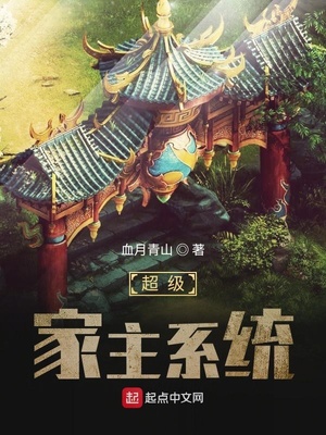 超级家主系统章节列表