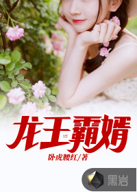 龙王霸婿宁沉央章节列表