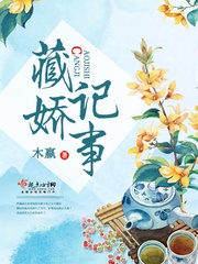 藏娇记事章节列表