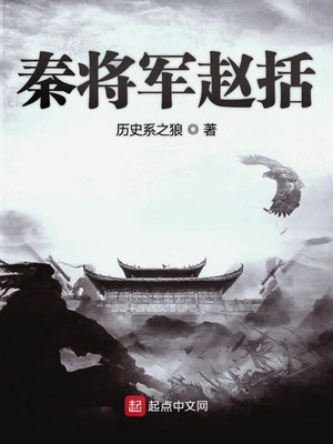 秦将赵括章节列表