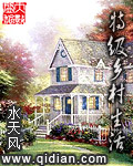 特级乡村生活章节列表