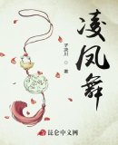 凌凤舞章节列表