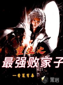 重生之最强败家子章节列表