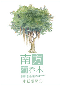 南方有乔木章节列表