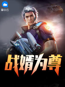 战婿为尊叶无道徐灵儿章节列表