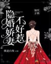 隐婚娇妻不好惹章节列表