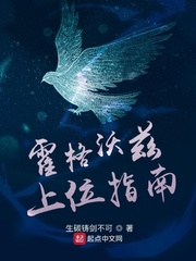 霍格沃兹上位指南章节列表
