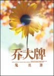 乔大牌章节列表