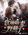 软萌娇妻野翻了章节列表