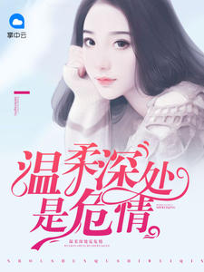 温柔深处是危情陆景琛顾南舒章节列表