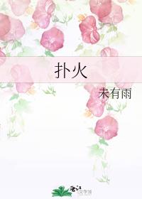 扑火章节列表
