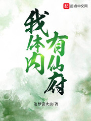 林逸我体内有仙府(追梦萤火虫)TXT章节列表