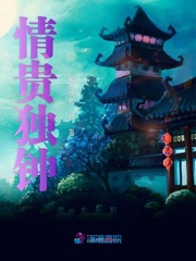 情贵独钟章节列表
