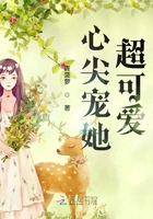 心尖宠她超可爱章节列表
