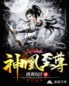 神凰至尊章节列表