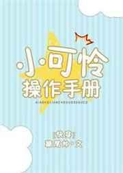小可怜操作手册章节列表