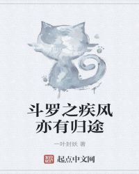 斗罗之疾风亦有归途章节列表