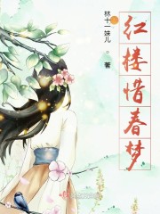 红楼惜春梦章节列表
