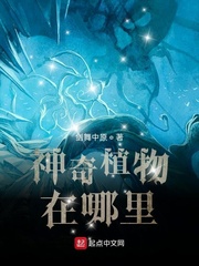 神奇植物在哪里？(剑舞中原)文章节列表