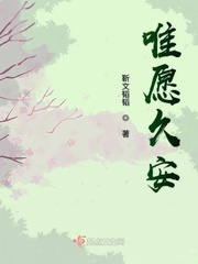 唯愿久安章节列表