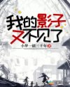 我的影子又不见了章节列表