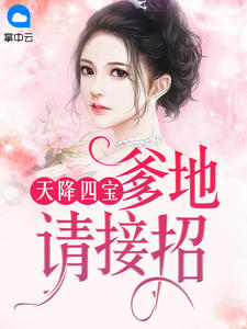 天降四宝：爹地请接招章节列表