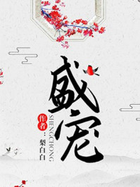 盛宠章节列表