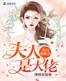 名门热恋之夫人是大佬章节列表