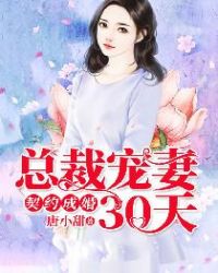 契约成婚，总裁宠妻30天章节列表