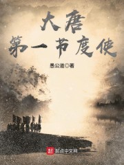 大唐第一节度使章节列表