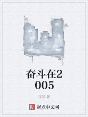 奋斗在2005章节列表