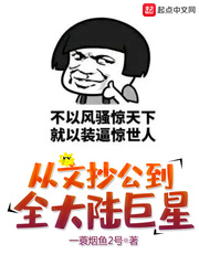 从文抄公到全大陆巨星章节列表