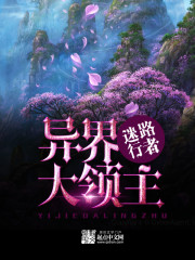 异界大领主章节列表