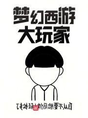 梦幻西游大玩家章节列表