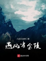 燕风啸金陵章节列表