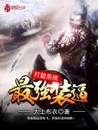 最强反套路系统章节列表