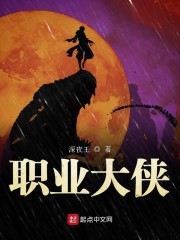 职业大侠章节列表