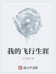 我的飞行生涯章节列表