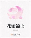 花添锦上章节列表