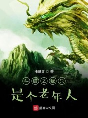 斗破之我只是个老年人章节列表