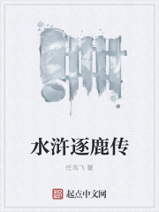 水浒逐鹿传章节列表
