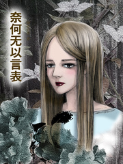 奈何无以言表章节列表
