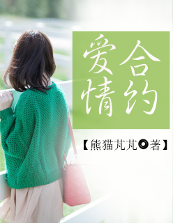 爱情合约章节列表