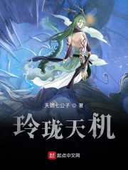 玲珑天机章节列表