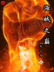海贼之巅章节列表