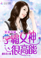 宠妻凶猛：学霸女神很高能章节列表