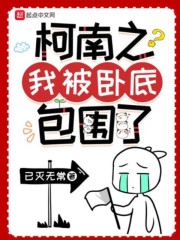 柯南之我被卧底包围了章节列表